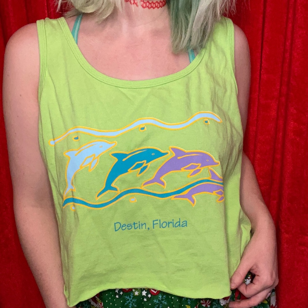 🐬Dolphins Florida crop top🐬